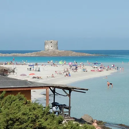 Zia Peppina 3*